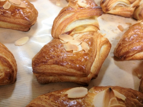 求人案件名６　有料テスト